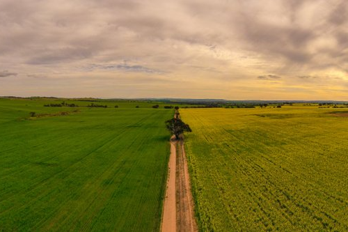 Western NSW landscape